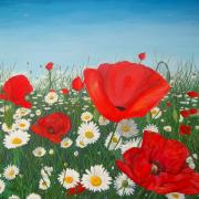 Coquelicots